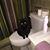 Henry Colonna's profile image