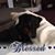 Connie Payton Andersen's profile image