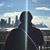 Shelby Dillenbeck's profile image
