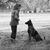 Tammy L Harding's profile image