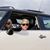 Maryjean Scano's profile image