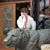 Sandra Johnson-McDown's profile image