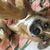 James Shepardson's profile image