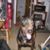 Mike McGregor's profile image
