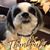 Regina Bouvier's profile image