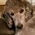 Heather McQuiddy's profile image