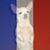 Hanne Jacob's profile image