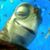 Nicolas Leal's profile image
