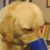 Becky McMullin Wilkinson's profile image