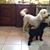 Tina Ellis Preiss's profile image