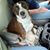 Marsha Crawford's profile image