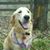 Jeffrey Banks's profile image
