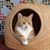 Ann Bublitz's profile image