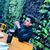 Anuj Rawat's profile image