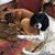 Bev Bonner Brookman's profile image
