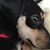 Cindy Kelly's profile image