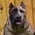 Judas Jewiish Nasii's profile image