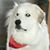 Maggie Cimba's profile image