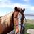 Jody Byerly's profile image