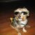 Denise Marie Serafin's profile image