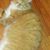 Wilma Chisolm's profile image