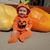 Ann Fischer's profile image