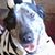 Pam Hendricks's profile image