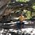 Carlos Arce's profile image