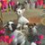 Suzanne Schaar Reed's profile image