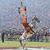 Tammy Dailey's profile image