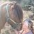 Jeannene Heinrich's profile image