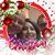 Deana Swartz's profile image
