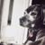 Carrie Turner Miller's profile image