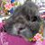 Angie Gilveli-Blackinton's profile image