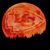 Ray Salsig's profile image