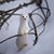 Lucy Rose Falconer's profile image