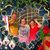 Linda Miller's profile image