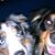 Babs Marshall's profile image