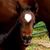 Tracy O'Shaughnessy's profile image