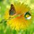 Betty J. Weiss's profile image