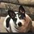 Larry Templin's profile image