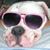 Rebekah Dickson's profile image