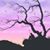 Steve Mountz's profile image