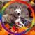 Vondia Williams's profile image