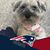 Beth Knodler's profile image