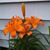 Kathy Keene's profile image