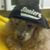 Lori Walters Randall's profile image