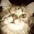 Barbara Nardone's profile image
