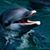 Tabatha McClanahan's profile image