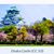 Kenichi Calder's profile image